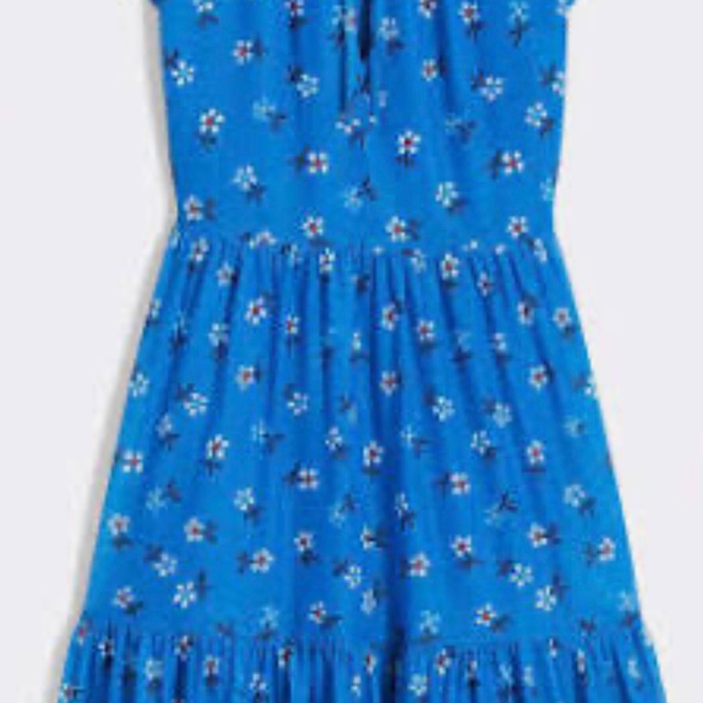 Draper James Connie Flatter Sleeve Blue Floral  Dress